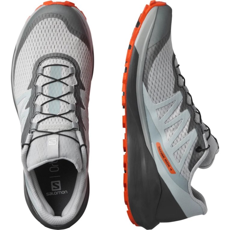 Sapatilhas Trail Running Salomon Sense Ride 4 Masculino Cinzentas | PT O56912